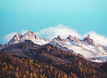 万博max-开云体育下载——掌握全网最新体育资讯，尽享极致赛事体验